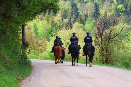 Skupen nadzor konjenikov NRP 10 Foto Ljubo Vukelič